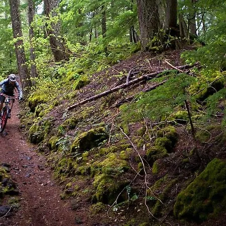 Apartamento Delux Hania *