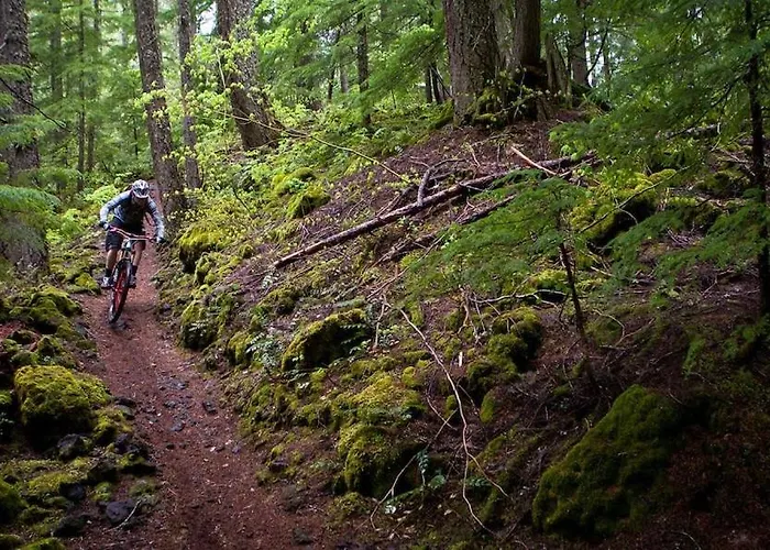 Appartamento Delux Hania *